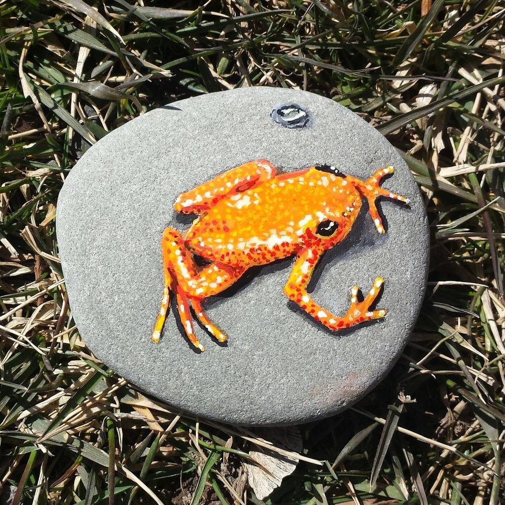 Frog Handpainted With Acrylics
